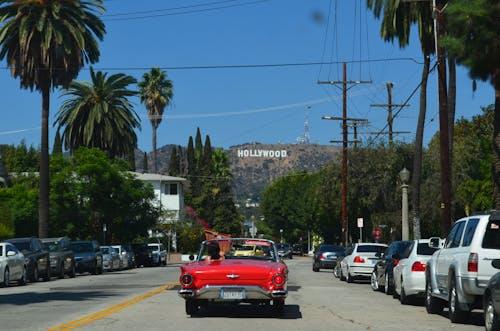 Top Reasons for Car Accidents in Los Angeles: Insights and Prevention Tips for Drivers 4 Los Angeles car accident lawyer