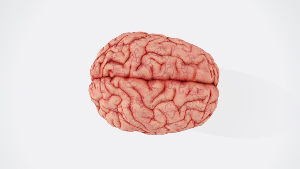 brain injury lawyer santa ana